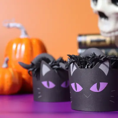 Muffinsformar svart katt, 12-pack - PME