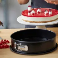 Springform Dia 24 x 7,6 cm Stål - Blomsterbergs