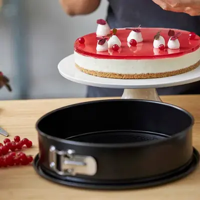 Springform Dia 24 x 7,6 cm Stål - Blomsterbergs