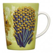 Iittala Graphics Mugg 40 cl Anemone