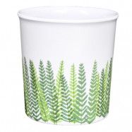 Evergreen Mugg 30 cl