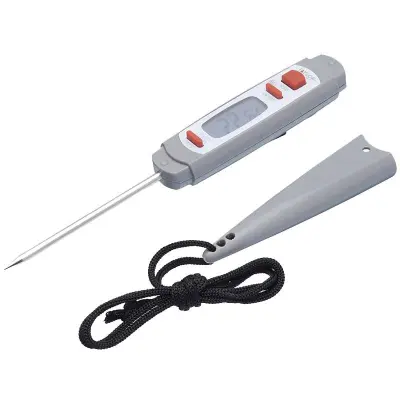 Stektermometer innertemperatur - Taylor Pro